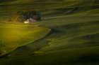 Farmland scene from above in the Palouse region of Washington State. Art Print